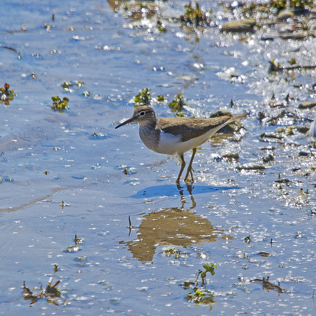Wat is dit? In Instagram kreeg ik verschillende antwoorden.